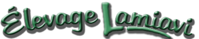 lamiavi.com
